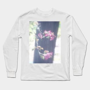 red Malus Radiant crab apple blossoms #6 Long Sleeve T-Shirt